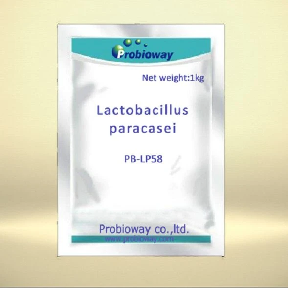 แลคโตบาซิลลัส Paracasei Postbiotics
