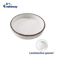 แลคโตบาซิลลัส Gasseri ความแข็งแรงสูง