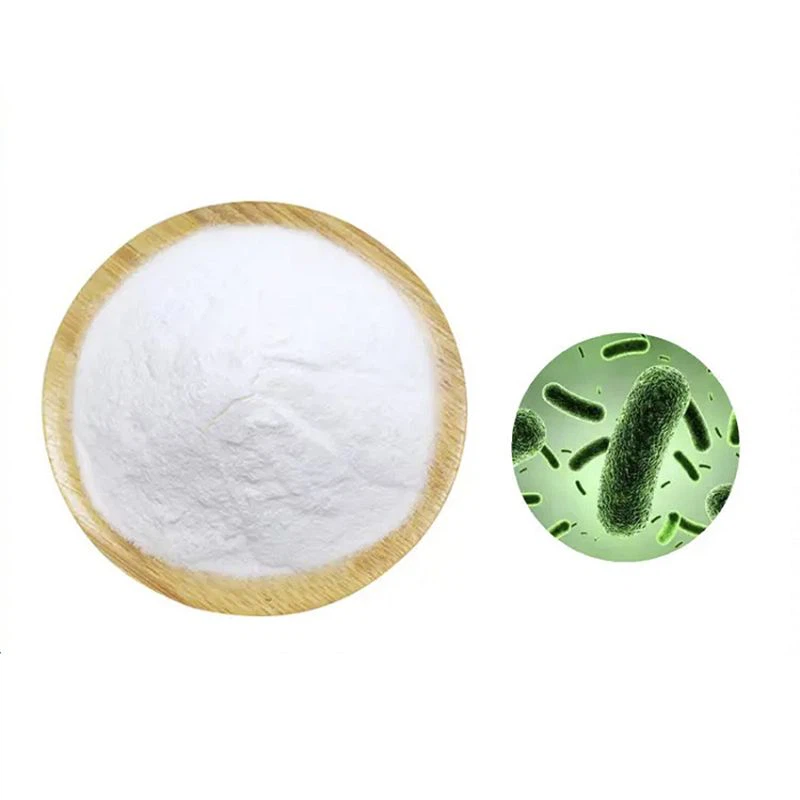 L Acidophilus Probiotic L Acidophilus Probiotic
