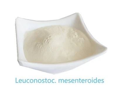 Leuconostoc Mesenteroides ดิบใช้สำหรับอะไร?