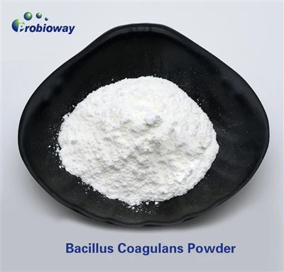 อุณหภูมิในการทำงานที่เหมาะสมสำหรับ Bacillus Coagulans Powder ในการแปรรูปอาหาร...