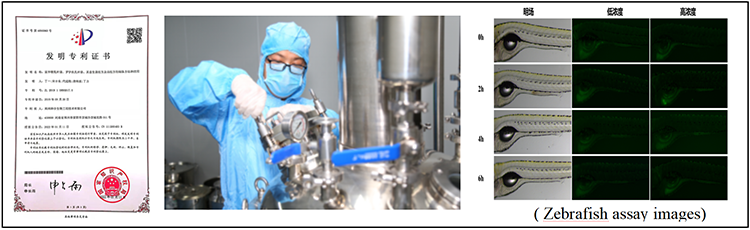 Core technology Patent strain
